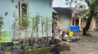 Warga Bengkel Sulap Pekarangan Jadi Sumber Pangan Bergizi