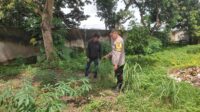 Ketahanan Pangan Lombok Barat: Peran Aktif Bhabinkamtibmas di Desa