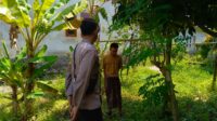 Ketahanan Pangan, Polisi Motivasi Warga Manfaatkan Pekarangan Rumah di Desa Perampuan