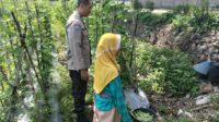 Sinergi Polri dan Petani, Bhabinkamtibmas Dorong Optimalisasi Lahan