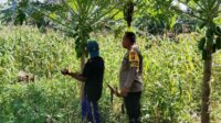 Polisi dan Petani Bersinergi, Ketahanan Pangan Jadi Prioritas!