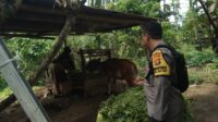 Ketahanan Pangan Dimulai dari Rumah: Bhabinkamtibmas Beri Edukasi Warga