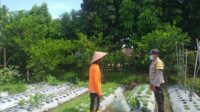 Warga Jagaraga Semangat Tanam, Berkat Dorongan Polisi