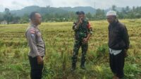 Kedekatan Polisi dan Petani, Panen Jadi Nyaman