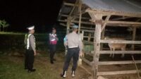 Tingkatkan Keamanan, Polsek Sekotong Fokus Patroli Kandang Ternak