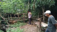 Sinergi Polri & Warga Lombok Barat Kuatkan Ketahanan Pangan