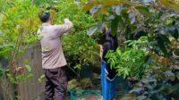 Sinergi Polri-Warga Lombok Barat Wujudkan Swasembada Pangan dari Rumah