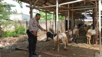 Sinergi Polri dan Warga Wujudkan Ketahanan Pangan Berkelanjutan