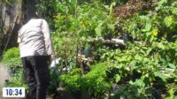 Bhabinkamtibmas Kuripan Aktif Sosialisasikan Program Pangan