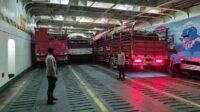 Pengamanan Ketat Pemuatan Truk Ternak Sapi di Pelabuhan Lembar