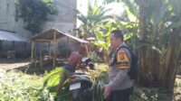 Peran Aktif Polri dalam Program Ketahanan Pangan Desa Montong Are