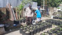 Meningkatkan Kemandirian Pangan: Bhabinkamtibmas Kuripan Utara Gelar Sosialisasi