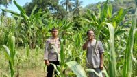Ketahanan Pangan: Kolaborasi Bhabinkamtibmas dan Warga Desa Senggigi