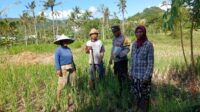 Bhabinkamtibmas Desa Giri Tembesi Berikan Motivasi dan Saran Pertanian kepada Petani