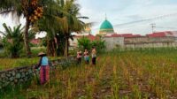 Sinergi Polri dan Warga Kembangkan Ketahanan Pangan Desa