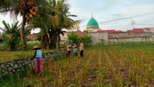Sinergi Polri dan Warga Kembangkan Ketahanan Pangan Desa