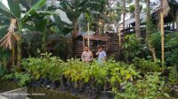 Polsek Kuripan Dampingi Warga Kuripan Utara Sukseskan Program Ketahanan Pangan