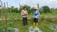 Optimalisasi Lahan untuk Ketahanan Pangan: Langkah Nyata Polri di Lombok Barat