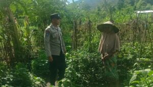 Bhabinkamtibmas Babussalam Gencarkan Ketahanan Pangan di Lombok Barat