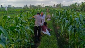 Bhabinkamtibmas Kuripan Utara Dukung Ketahanan Pangan Lokal