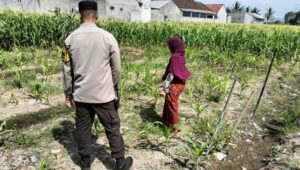 Bhabinkamtibmas Labuapi Dorong Pemanfaatan Lahan Demi Ketahanan Pangan