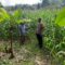 Bhabinkamtibmas Sekotong Timur Dampingi Petani Dukung Ketahanan Pangan