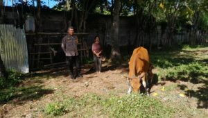 Bhabinkamtibmas Aktif Edukasi Pertanian di Desa Senggigi
