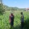 Dukung Swasembada, Polri Sapa Petani Jagung Sekotong Timur