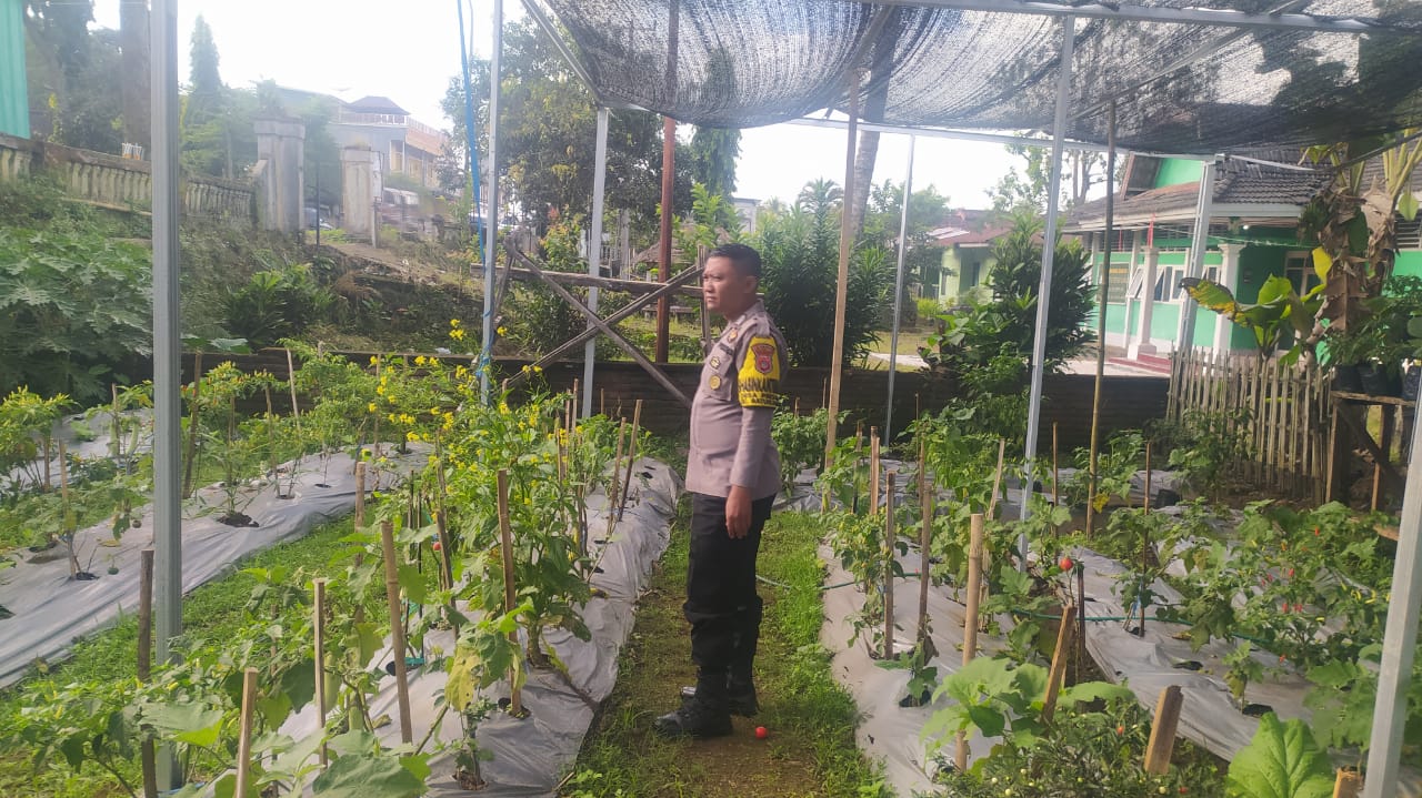 Gambar WhatsApp 2025-06-12 pukul 12.19.08_c6da3f4b