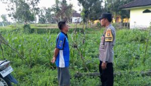 Ketahanan Pangan Desa Kuripan Didukung Langsung Aparat Kepolisian