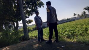 Ketahanan Pangan Desa Kuripan Sinergi Polri dan Warga