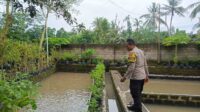Ketahanan Pangan Dimulai dari Dusun Pesongoran, Lombok Barat