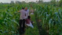 Motivasi Petani Kuripan, Polri Dorong Ketahanan Pangan dari Tingkat Desa