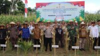 Dukungan Penuh Polri dan Pemda dalam Panen Raya Jagung NTB