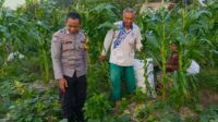 Petani Kuripan Utara Terapkan Inovasi Pertanian Didukung Polri