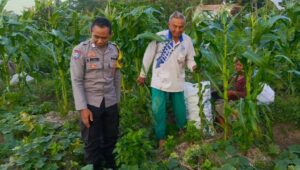 Petani Kuripan Utara Terapkan Inovasi Pertanian Didukung Polri