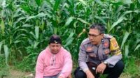 Kolaborasi Polri dan Warga Eyat Mayang: Pilar Ketahanan Pangan Lokal