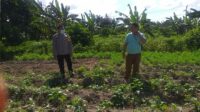 Polri Dukung Ketahanan Pangan Nasional Bhabinkamtibmas Jagaraga Ajak Petani Manfaatkan Lahan Produktif