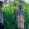 Polri Gandeng Petani di Dasan Geres Kembangkan Pekarangan Produktif