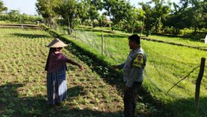 Polri di Lombok Barat Galakkan Ketahanan Pangan Skala Rumah Tangga