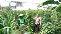 Dukung Ketahanan Pangan, Polisi Ajak Petani Manfaatkan Lahan Kosong