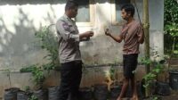 Batulayar Bangkitkan Ketahanan Pangan Lewat Pekarangan Bergizi