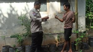 Batulayar Bangkitkan Ketahanan Pangan Lewat Pekarangan Bergizi