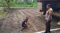Bhabinkamtibmas Kuripan Timur Dorong Warga Dukung Ketahanan Pangan Nasional