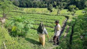 Polsek Kediri Dorong Ketahanan Pangan Warga Montong Are