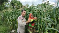 Pekarangan Produktif, Desa Aman: Inisiatif Ketahanan Pangan Bhabinkamtibmas Labuapi