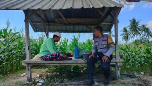 Jalin Kedekatan, Bhabinkamtibmas Desa Eyat Mayang Sambangi Petani Jagung Dukung Ketahanan Pangan
