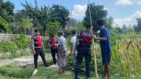Polisi Lakukan Patroli Tanam Jagung di Dusun Kelebut untuk Dukung Swasembada Pangan