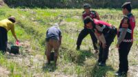 Polres Lombok Barat Dukung Ketahanan Pangan Lewat Patroli Humanis di Desa Kuripan