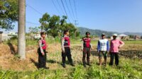 Polri Hadir Bantu Petani Jagung Wujudkan Swasembada di Lombok Barat
